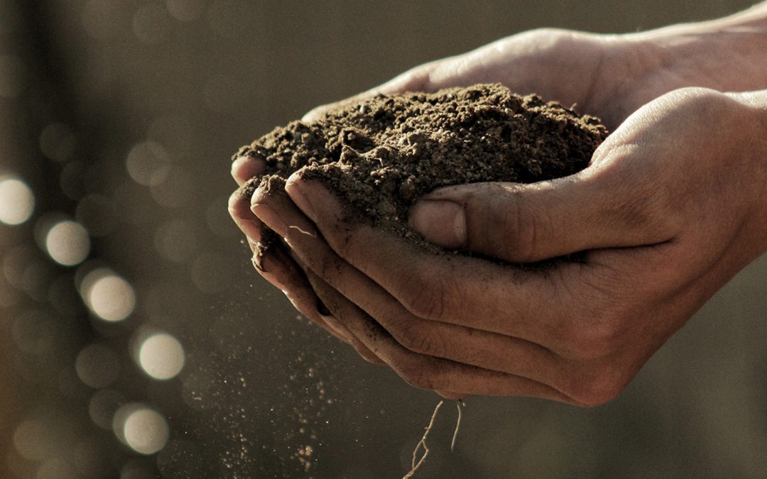 How compost is crucial to soil regeneration